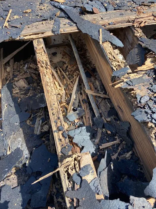 Magical Roofers Picture 2