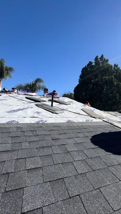 Option One Roofing Picture 8