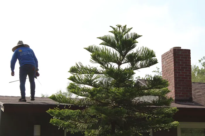 Helios Roofing And Solar Picture 8