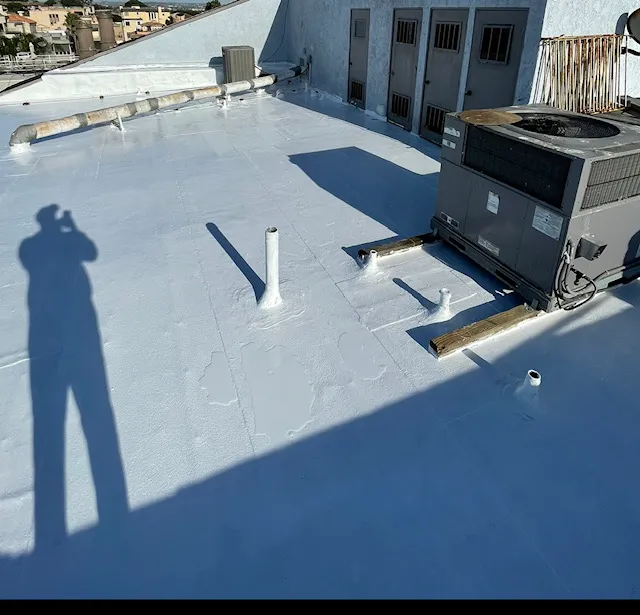 Steve's Elite Roofing Picture 4