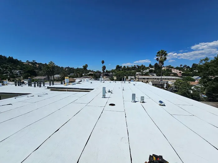 Roof Repair CA Picture 5