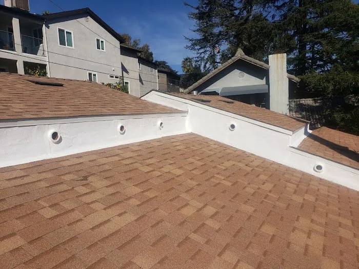 Best Quality Roofing Picture 9