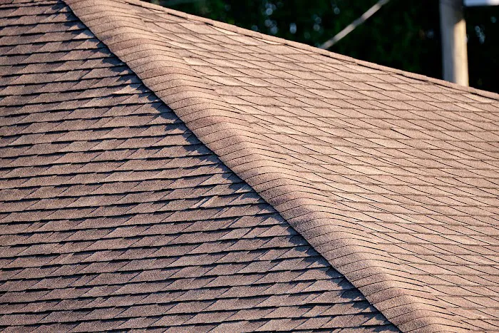 Roofing Guys Picture 1