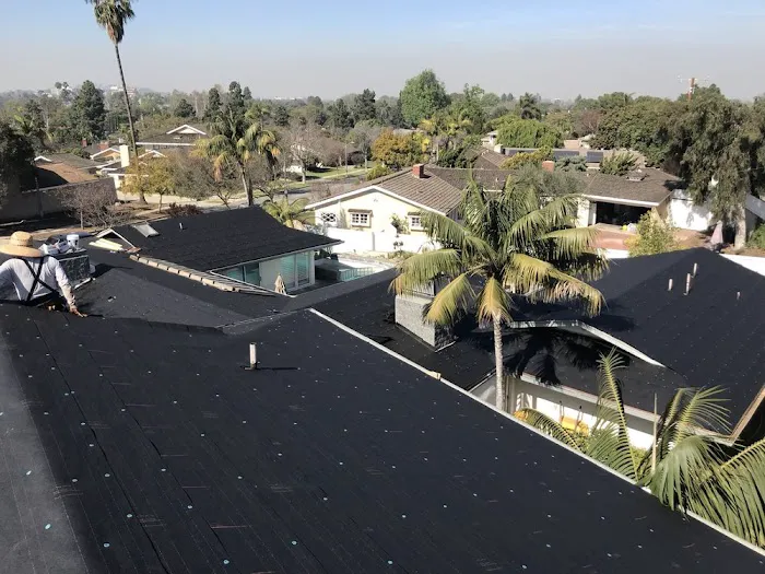 Estrada Roofs Picture 1