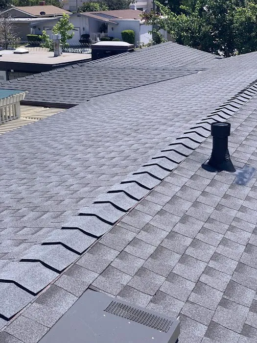 Estrada Roofs Picture 7