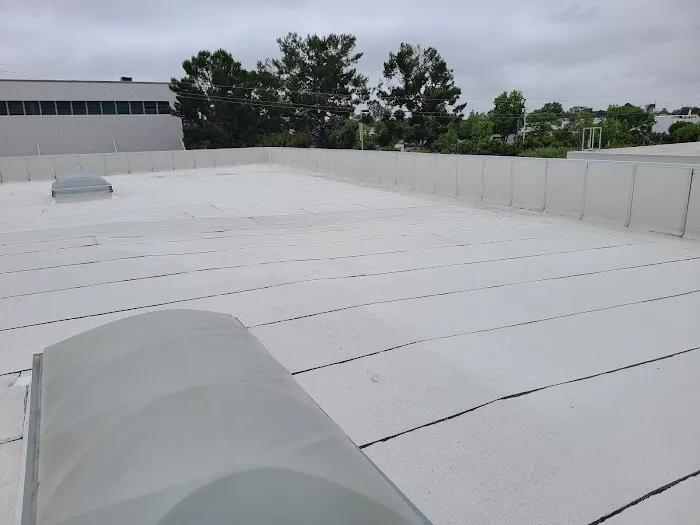 Blue Shoe Roofing Picture 2