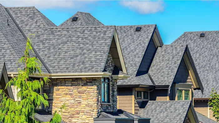 Top Roofing Contractor Picture 5