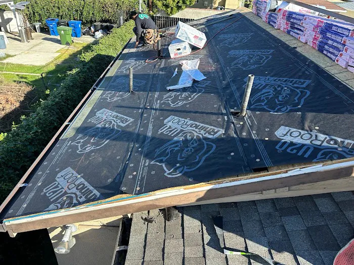 The Roofer Bros Picture 6