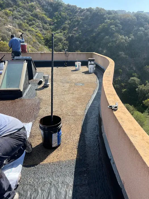 XXLL, Inc. Picture 6