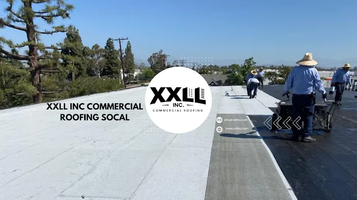 XXLL, Inc. Picture 5