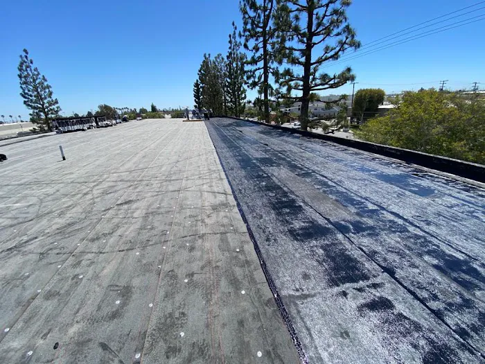 XXLL, Inc. Picture 2