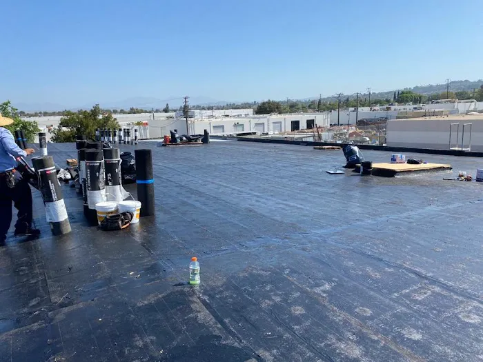 XXLL, Inc. Picture 7