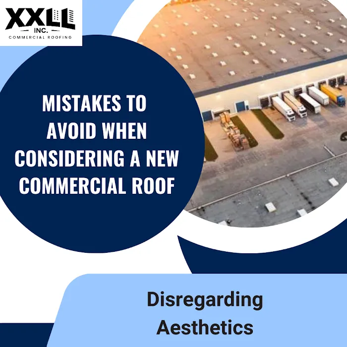 XXLL, Inc. Picture 10