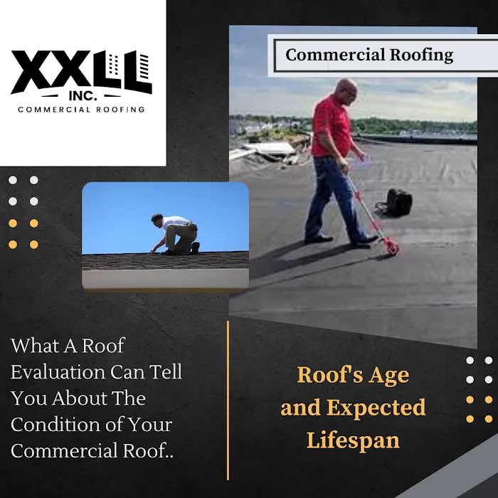 XXLL, Inc. Picture 9