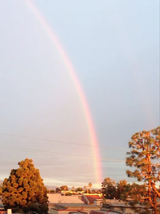 Adam's Roofing Picture 1