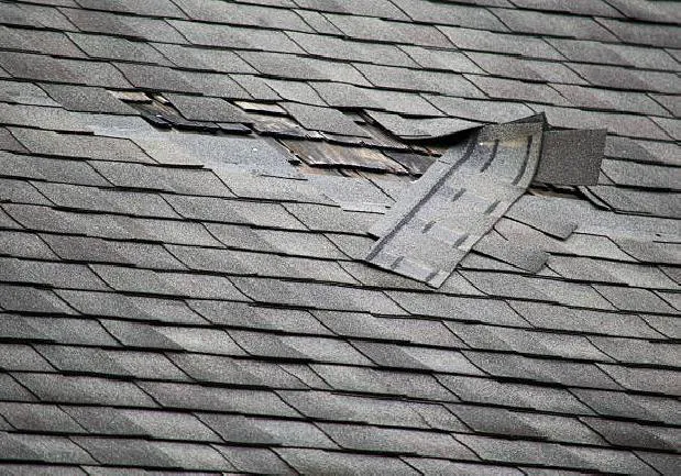 Westmax Roofing, Inc Picture 3