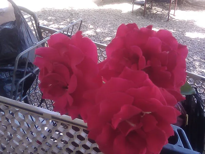 Howard Roofing Company Picture 4