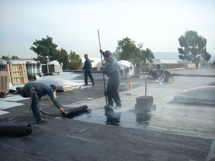 Royal Roof Co Picture 3