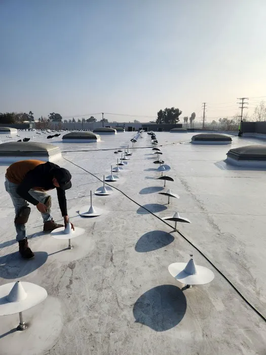 Roof Guard Inc Picture 8