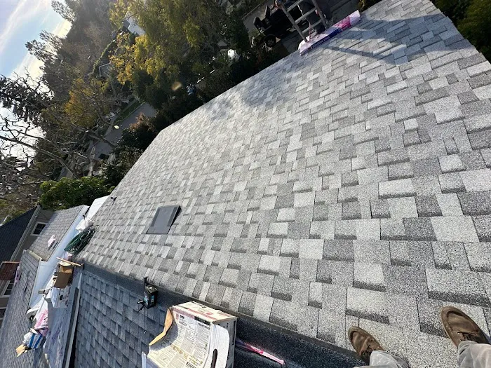 Terrazas Roofing Picture 4