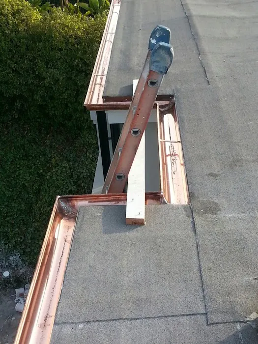 Out Of The Gutter Picture 10