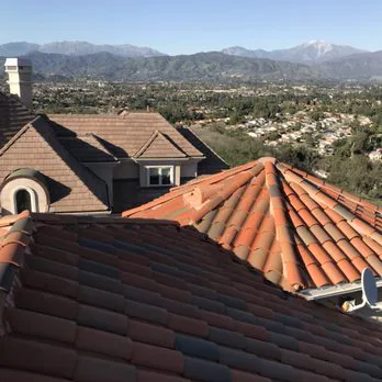 Born 2 Roof Picture 4