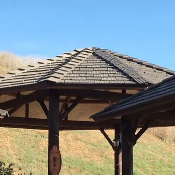 Born 2 Roof Picture 2