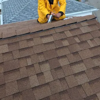 Born 2 Roof Picture 3