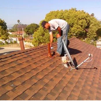 Born 2 Roof Picture 5