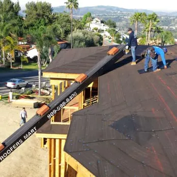 Born 2 Roof Picture 6