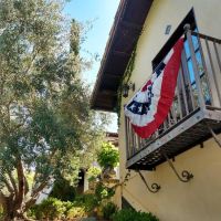 Gold Star Roofing Co ico