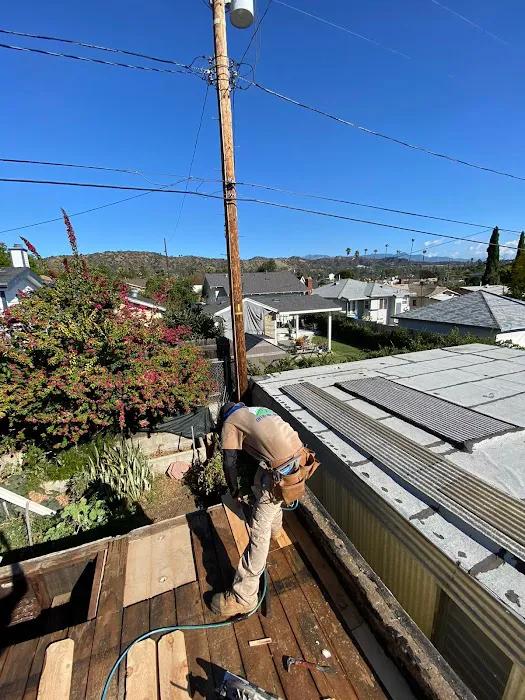 California Green Roofing Picture 7
