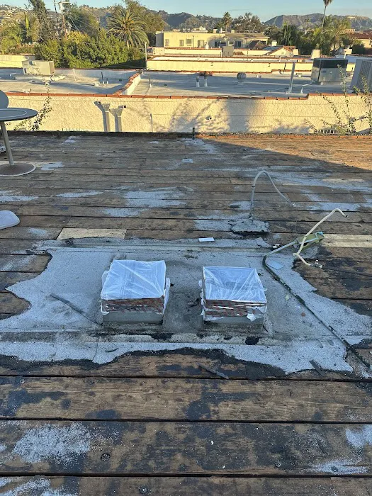 California Green Roofing Picture 4