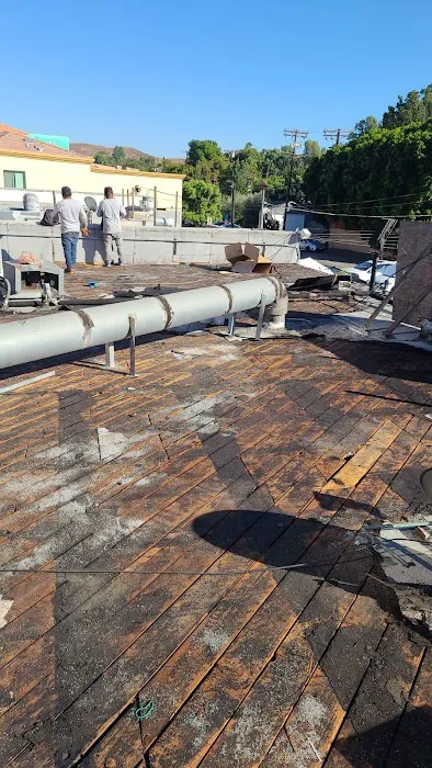 California Green Roofing Picture 8