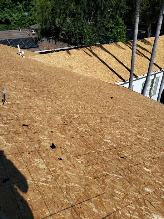 California Green Roofing Picture 9