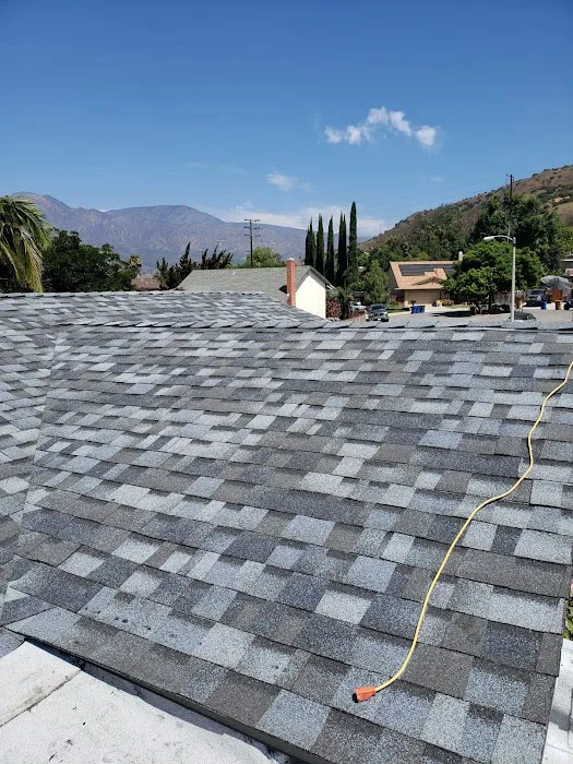 California Green Roofing Picture 10