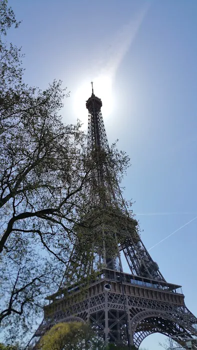 Above It All Roofing, Inc. Picture 6