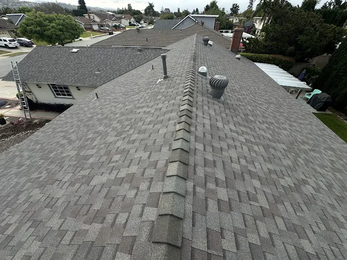 Professional Roofing Picture 1