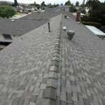 Professional Roofing