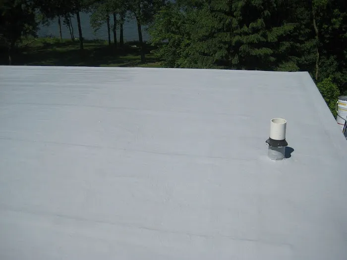 Lighthouse Roofing and Repair Picture 4