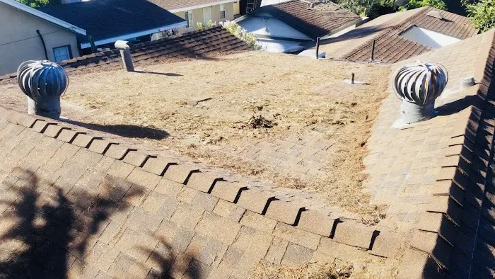 BH Roofing & Development Picture 4