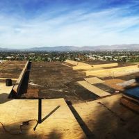 Paul Bancroft Inc ico