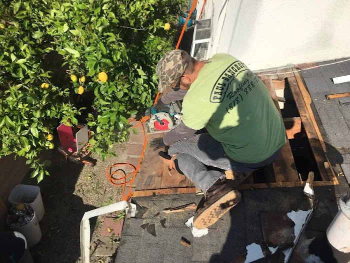 Paul Bancroft Inc Picture 4