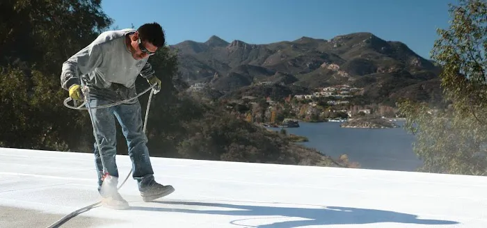 Paul Bancroft Inc Picture 7