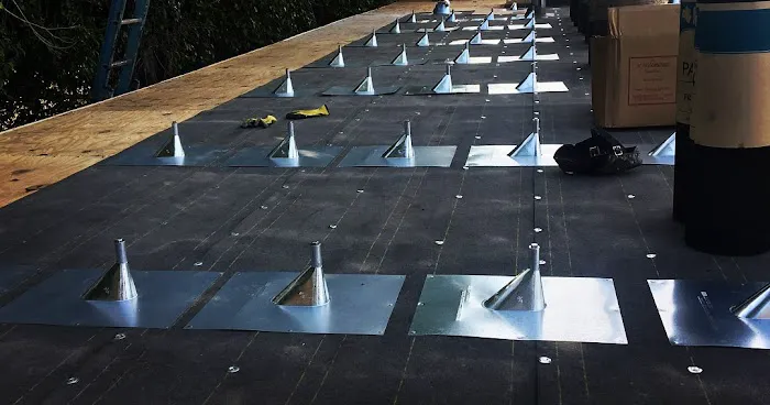 Paul Bancroft Inc Picture 8