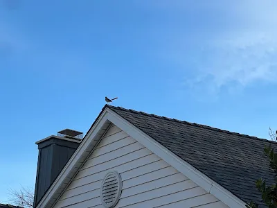 Done Right Roofing Canoga Park CA Picture 3