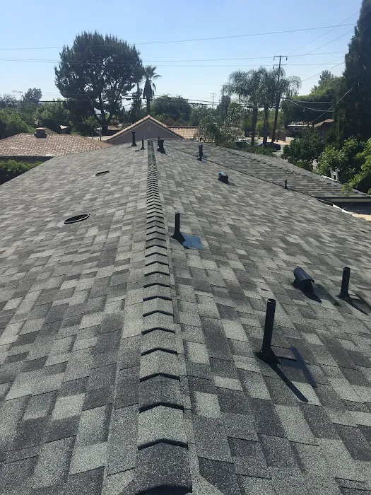 Level Up Roofing Picture 1