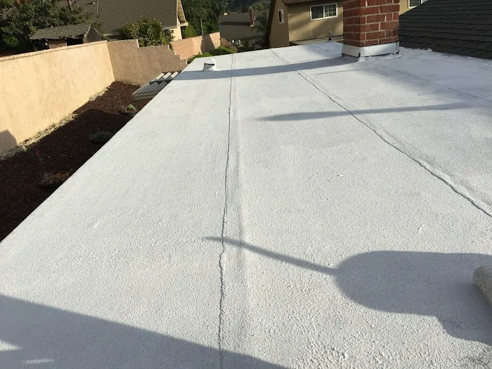 Level Up Roofing Picture 2
