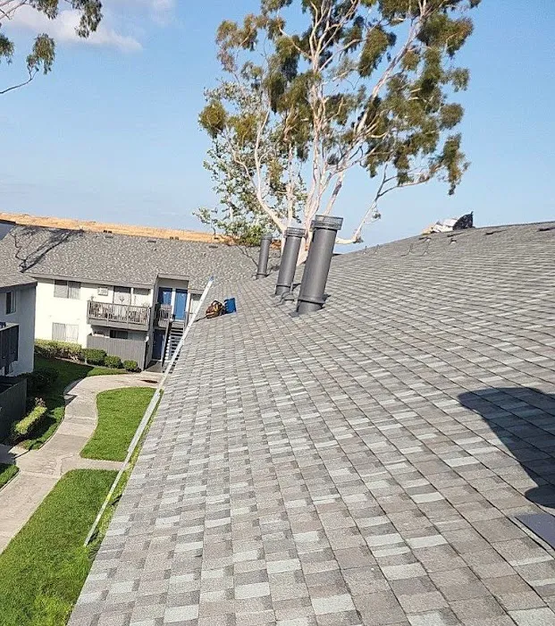 Reliance Roofing Inc. Picture 2