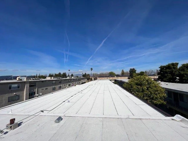 Reliance Roofing Inc. Picture 3